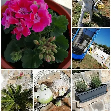 公寓 Roza 2 玛里纳