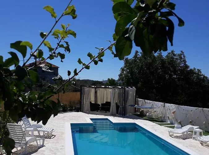 Roza 2 Marina (Bossoglina)